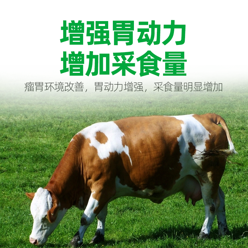 牛促进反刍增强胃动力，健胃养胃，调理肠道，促进消化吸收