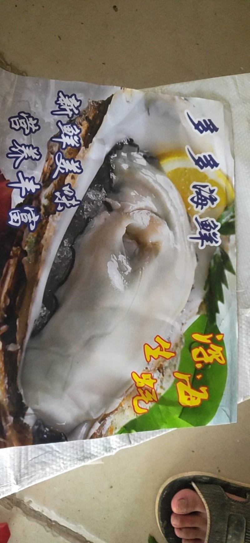 烧烤生蚝一件可打50-100斤