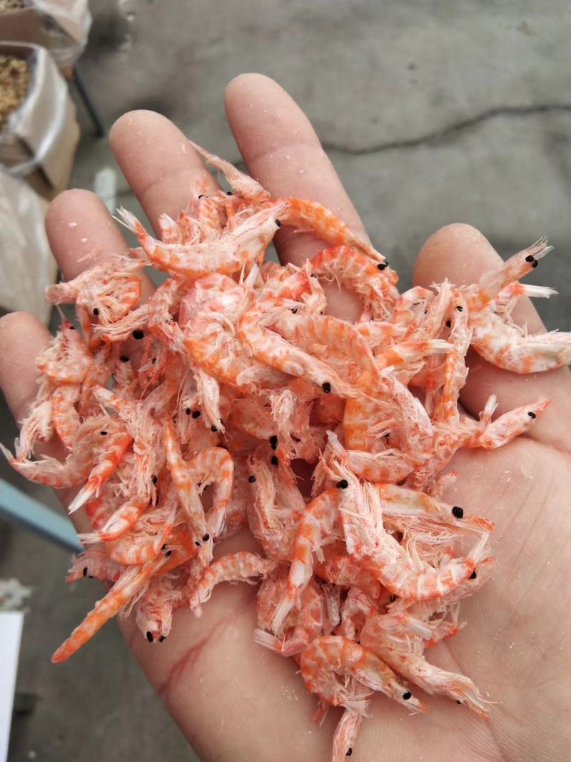 团购电商专用南极磷虾50克虾皮去皮磷虾米厂家直供海米