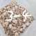 花菇河南基地直供一手货源品质保证对接批发商超市！