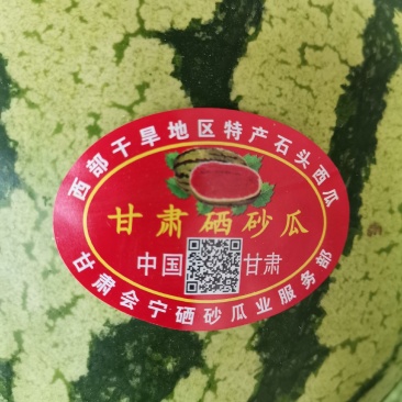 会宁硒砂瓜