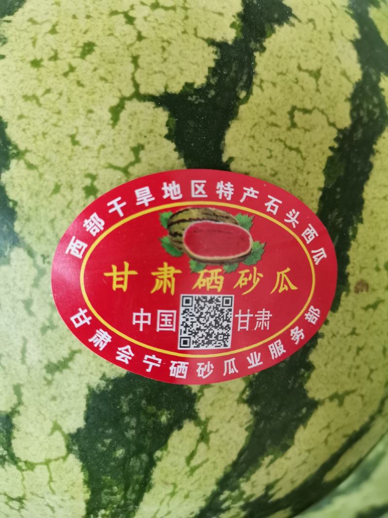 会宁硒砂瓜