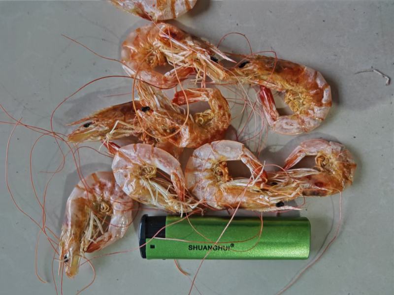 源头工厂袋装烤虾海鲜干货对虾虾仁虾米零食海炭烤大虾干