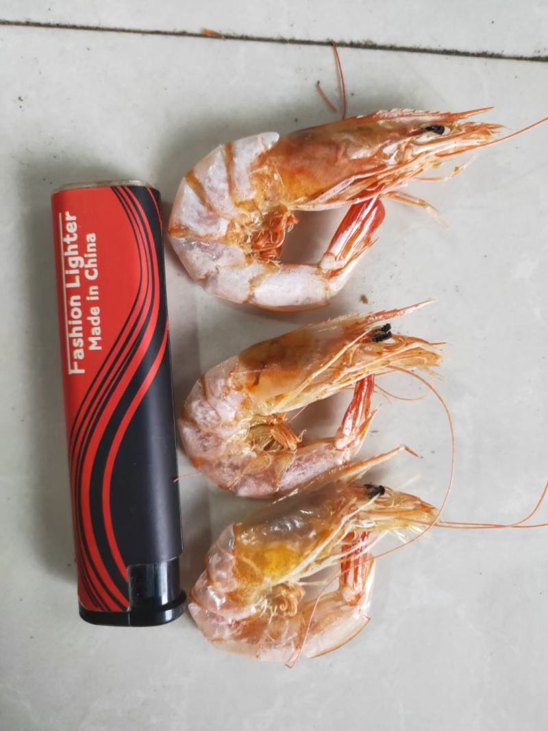 源头工厂袋装烤虾海鲜干货对虾虾仁虾米零食海炭烤大虾干