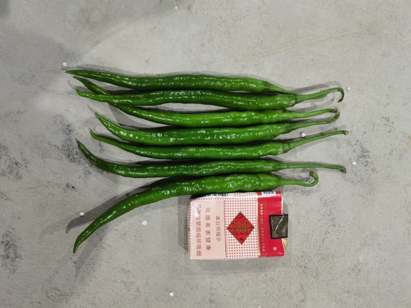 线椒