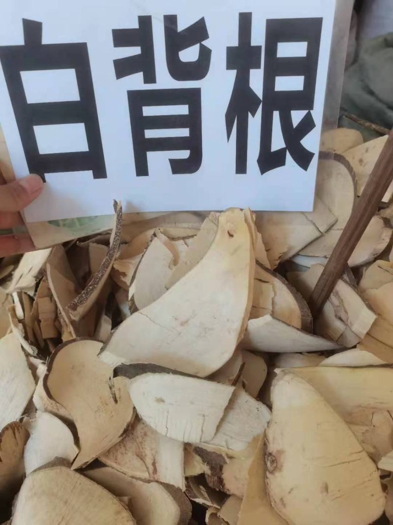 野生冷背中药材白背根无硫质量非常好批发零售