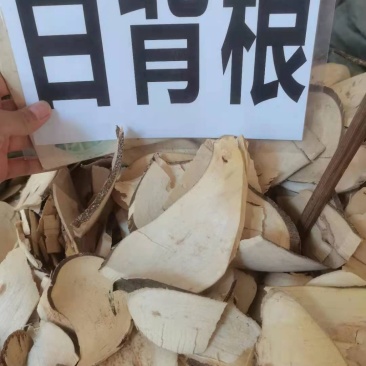 野生冷背中药材白背根无硫质量非常好批发零售