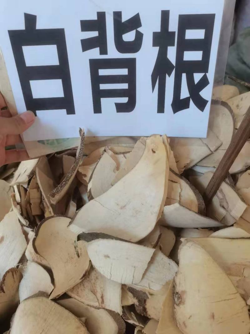 野生冷背中药材白背根无硫质量非常好批发零售