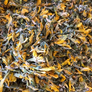 金雀花冷背药材干货欢迎选购量大从优