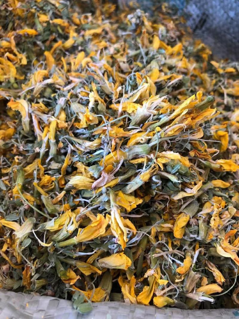 金雀花冷背药材干货欢迎选购量大从优