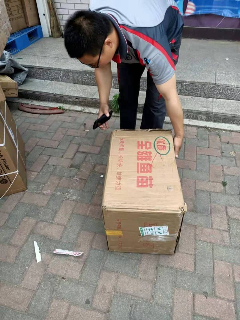 有货水产种苗黄尾鲴鱼苗黄尾鯝鱼苗黄尾鱼苗水花苗提供技术