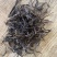 2021年易武乔木生茶普洱茶一斤装散茶500g