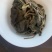 2021年易武乔木生茶普洱茶一斤装散茶500g