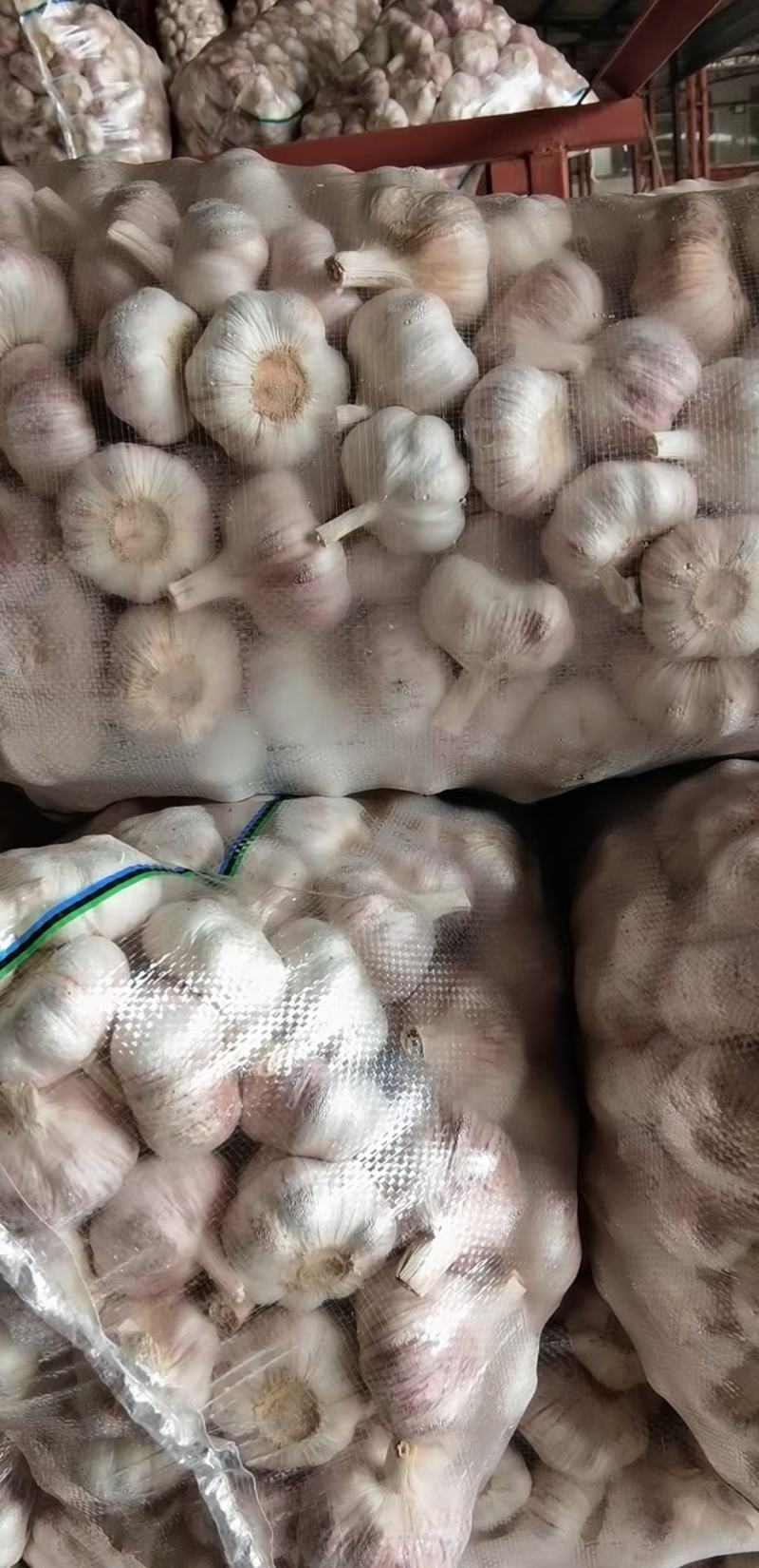 大蒜5060以上精品大蒜，净蒜毛蒜可以看货代
