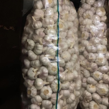 大蒜5060以上精品大蒜，净蒜毛蒜可以看货代
