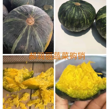 精品板栗南瓜口感甜面产地直销供电商市场超市