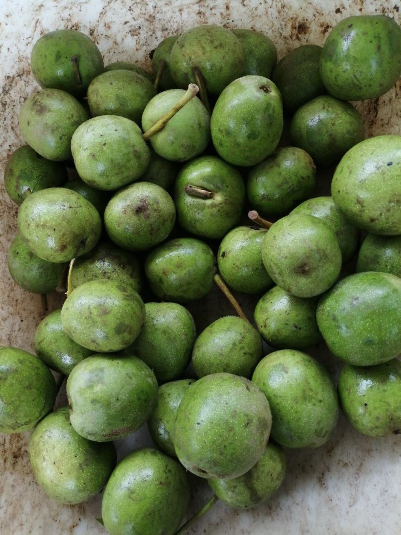 青皮核桃