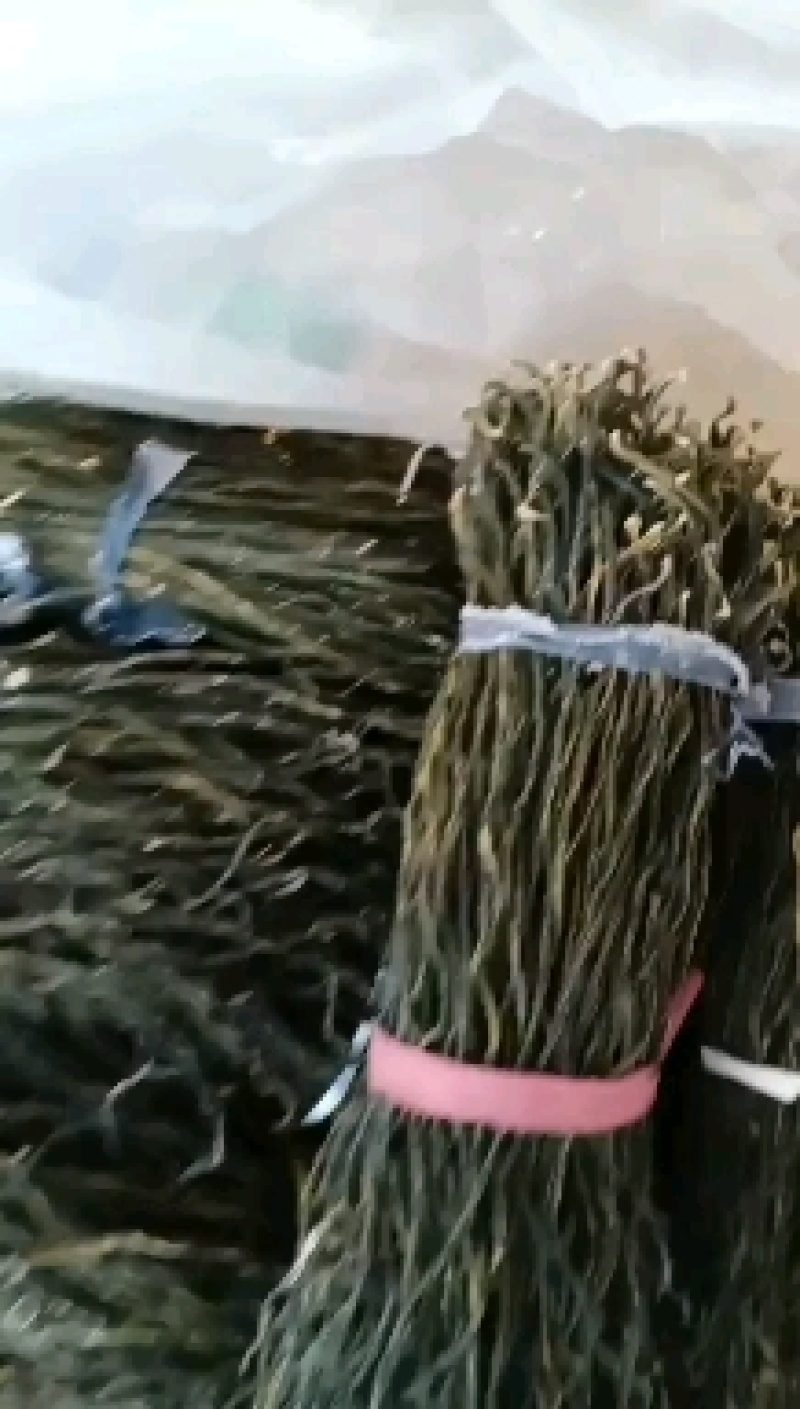 新货新货2023新货开售精品干豆角烘干晒干