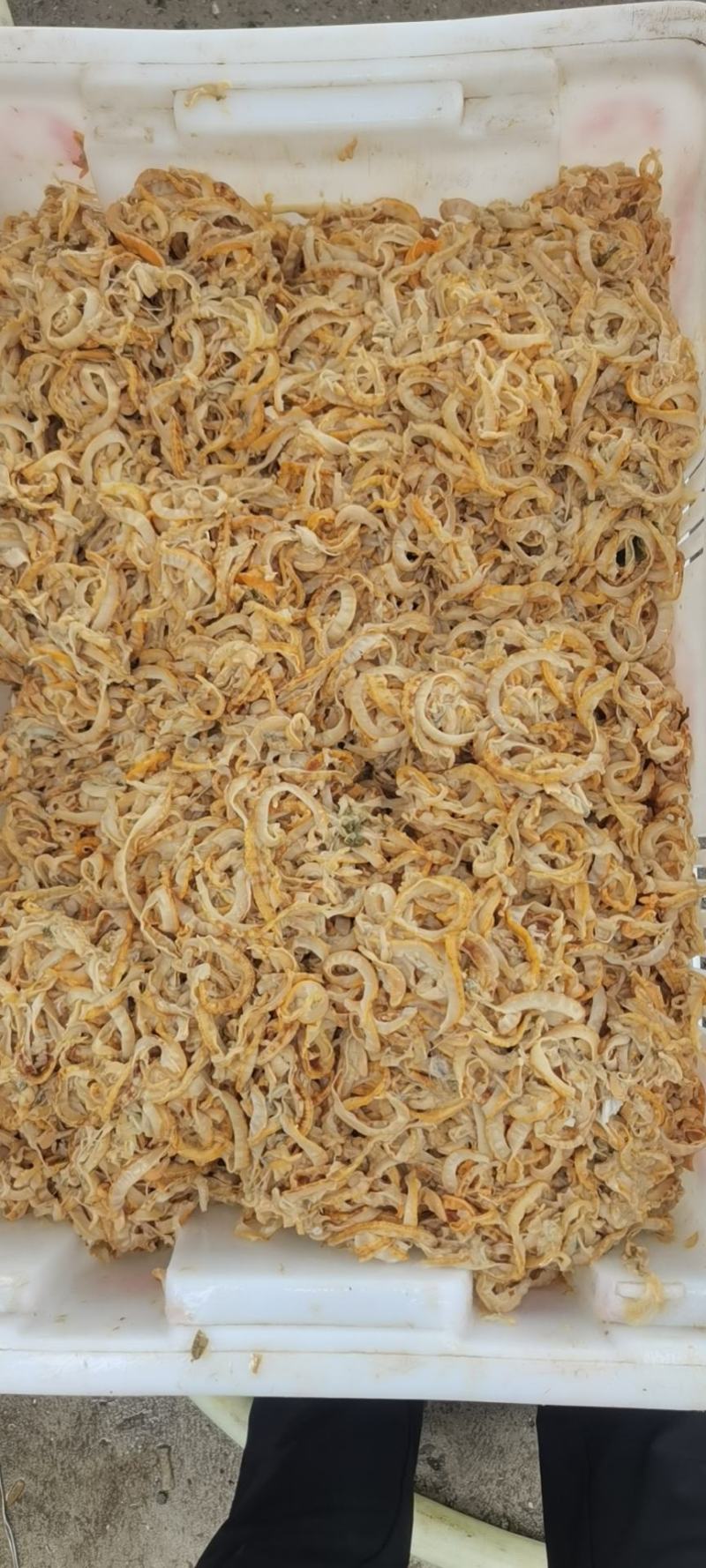虾夷贝裙边，扇贝边