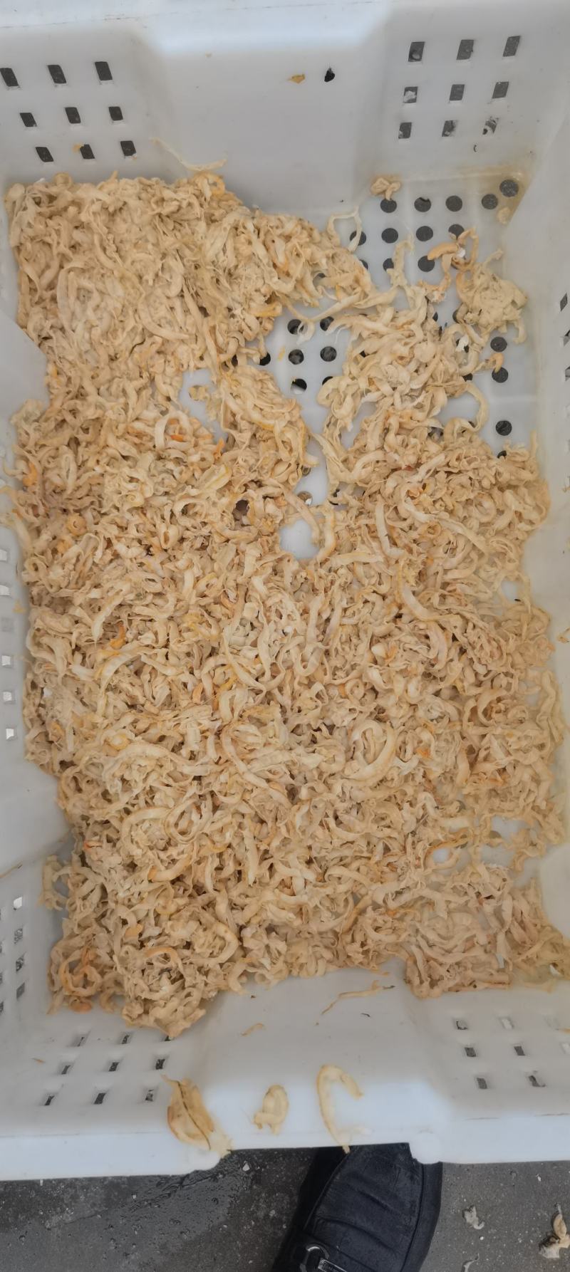 虾夷贝裙边，扇贝边