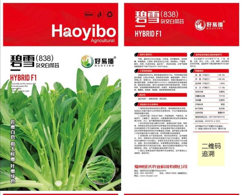 早熟白菜苔种子甜脆耐热叶片嫩绿春秋菜农基地选用种子