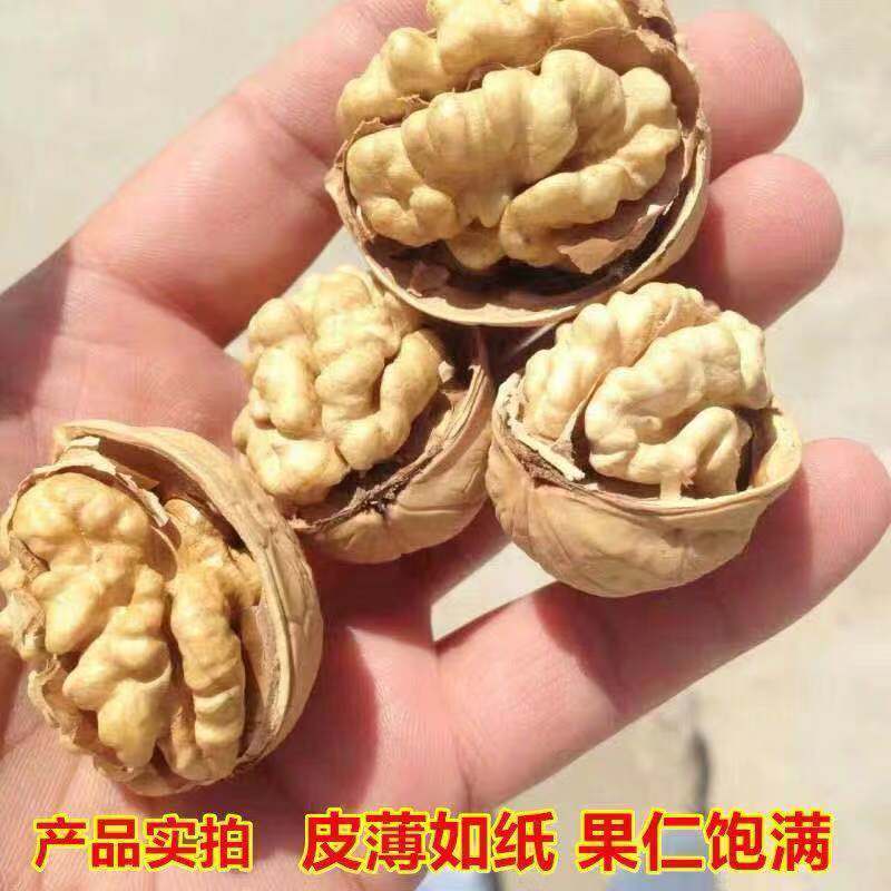 核桃纸皮核桃新疆阿克苏【不包邮】基地供应量大从优