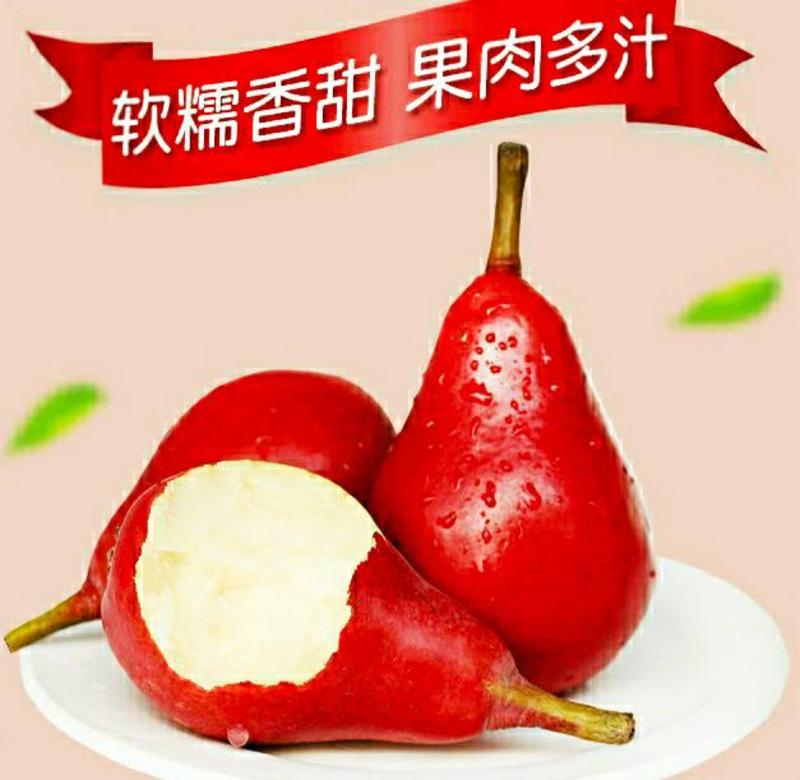 新鲜红啤梨当季节水果香甜软糯多汁（5斤1件包邮）