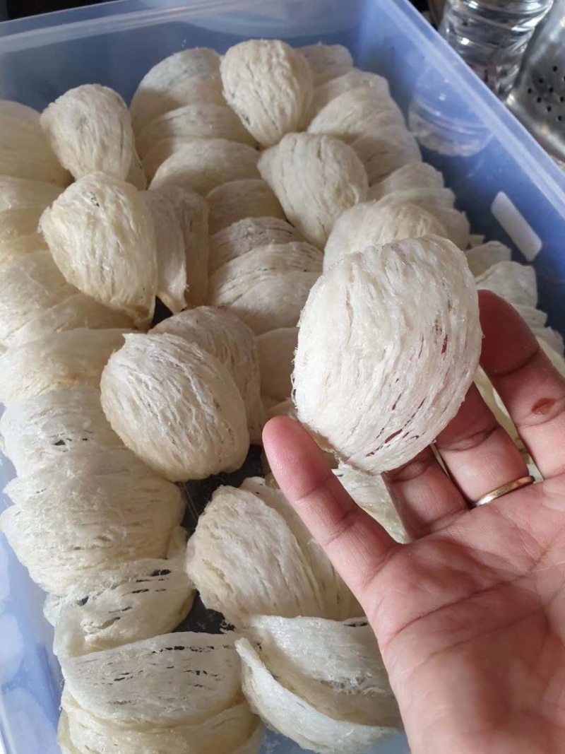 燕窝印尼燕窝一级品质量大量小都批