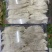 燕窝印尼燕窝一级品质量大量小都批