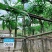 5-25公分