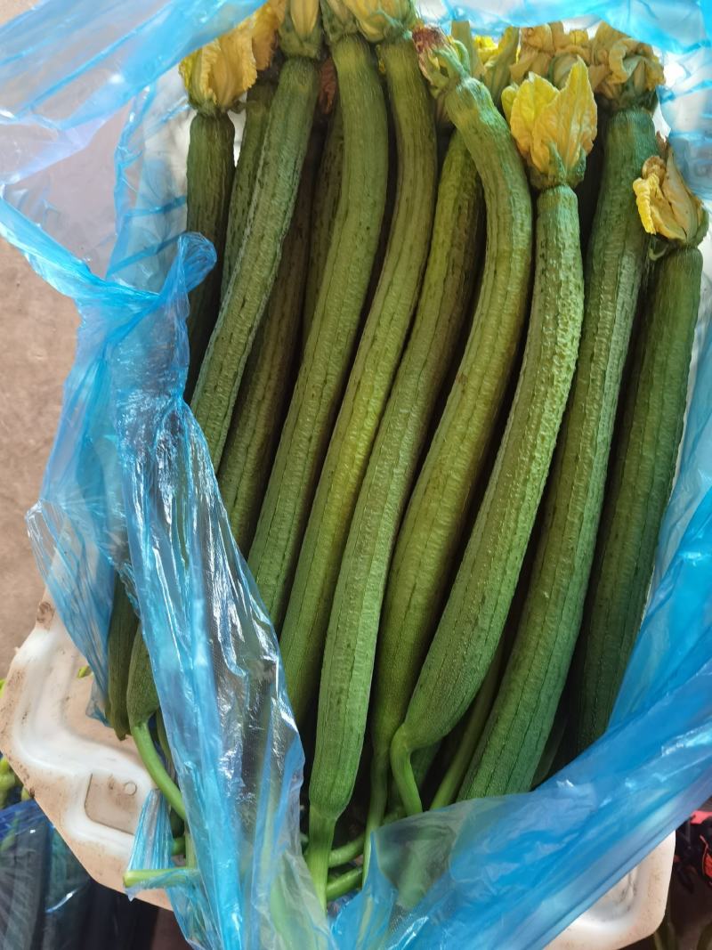 丝瓜，好丝瓜