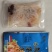 源头厂家即食海蜇开袋即食海蜇头海蜇皮凉拌菜袋装海哲丝新鲜
