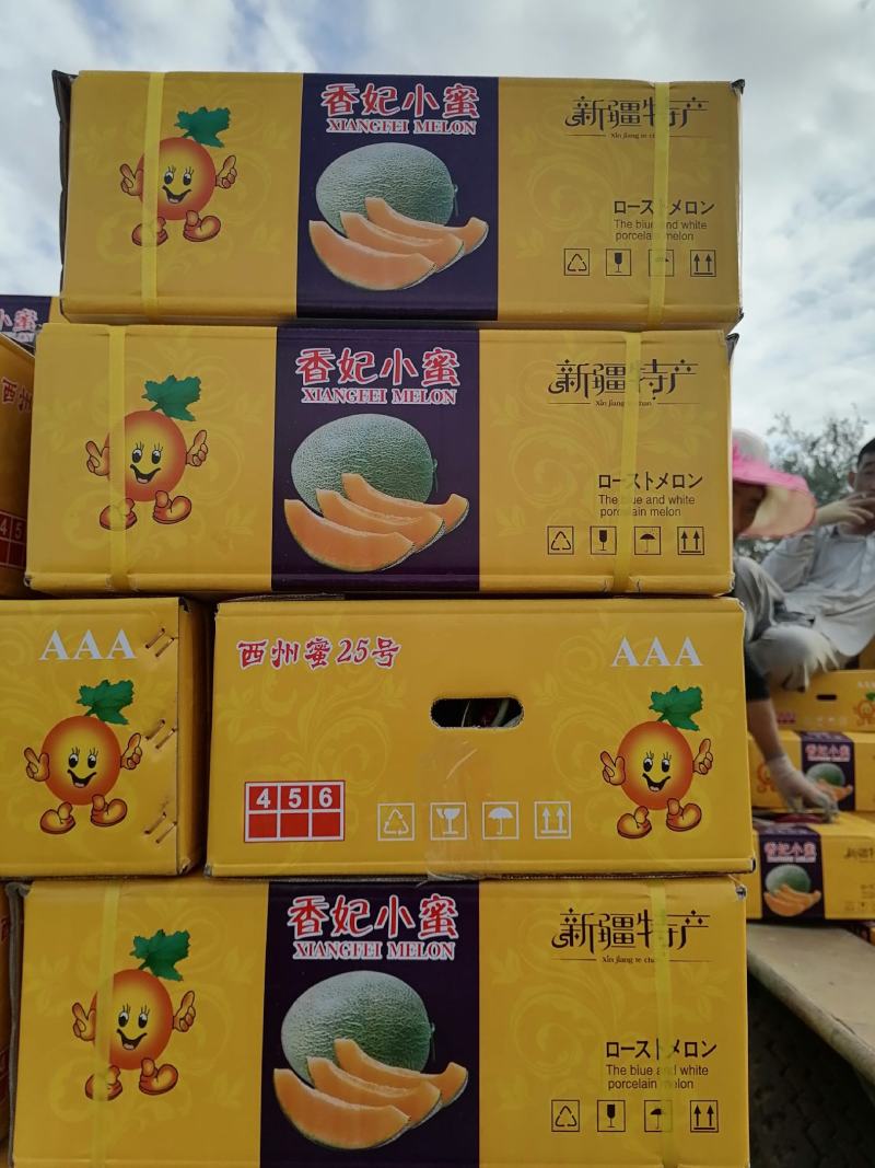 新疆哈密瓜，西州蜜17号，西州蜜25号，黄金蜜，脆甜，