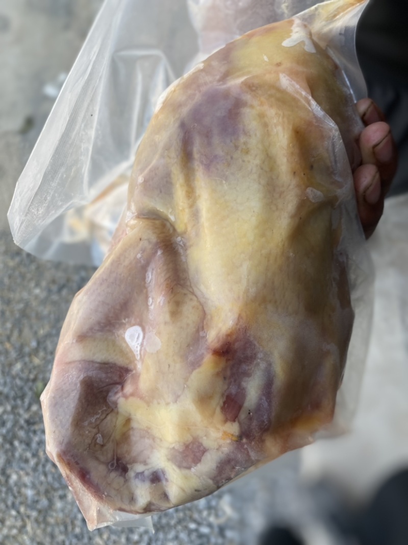 现宰2年以上新鲜抽真空老母鸡煲汤专业鸡