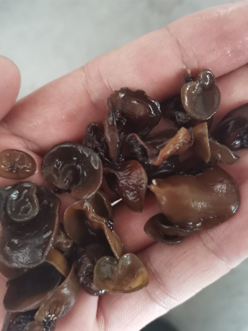 黑木耳伢子货，原干小货高泡发，0.3～0.8小木耳。