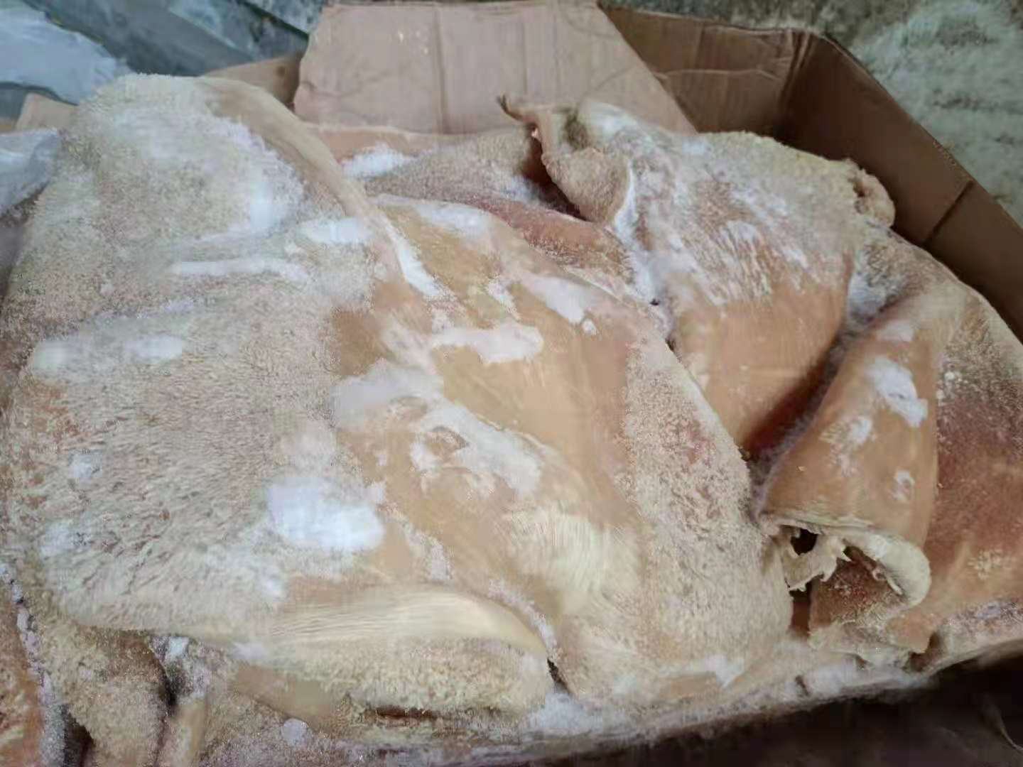 猪肚与白胡椒特写