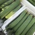 本地新茬鲜花丝瓜，早五点供应。#横溪#咸祥#五乡