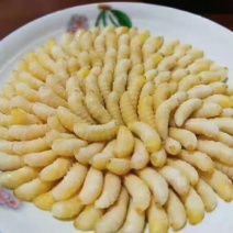 蜂蛹