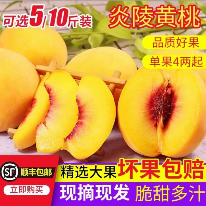 湖南炎陵黄桃基地直销，欢迎团购电商批发合作