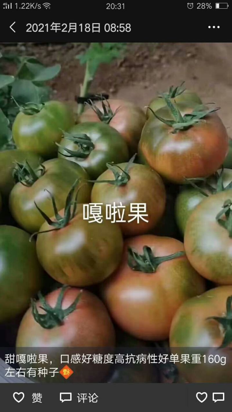 草莓番茄