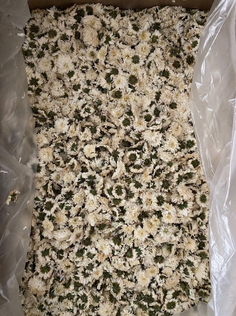 七月菊菊花白菊花各种花茶批发各种中药材