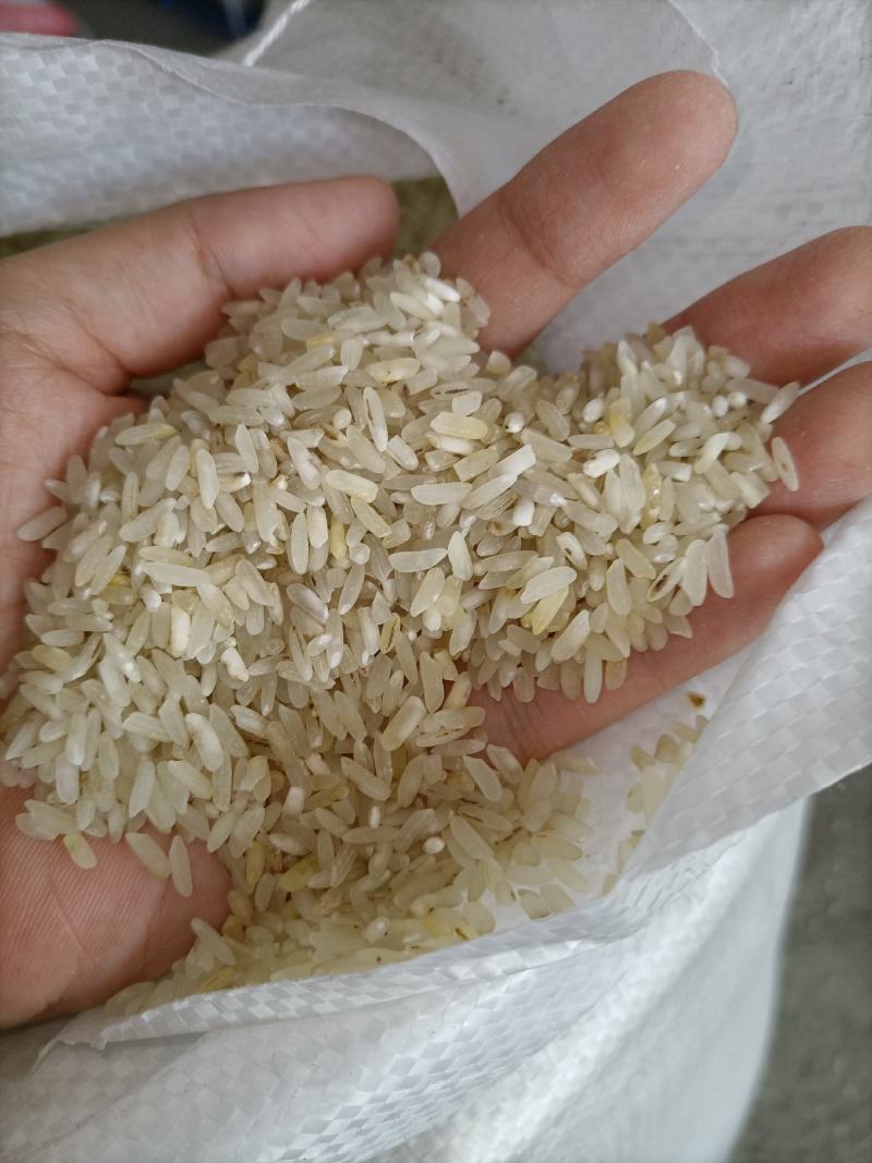 7.11新到碎米纯粹碎米鸡食米养殖场专用饲料米色选米批发