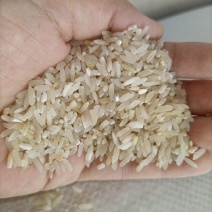 7.11新到碎米纯粹碎米鸡食米养殖场专用饲料米色选米批发