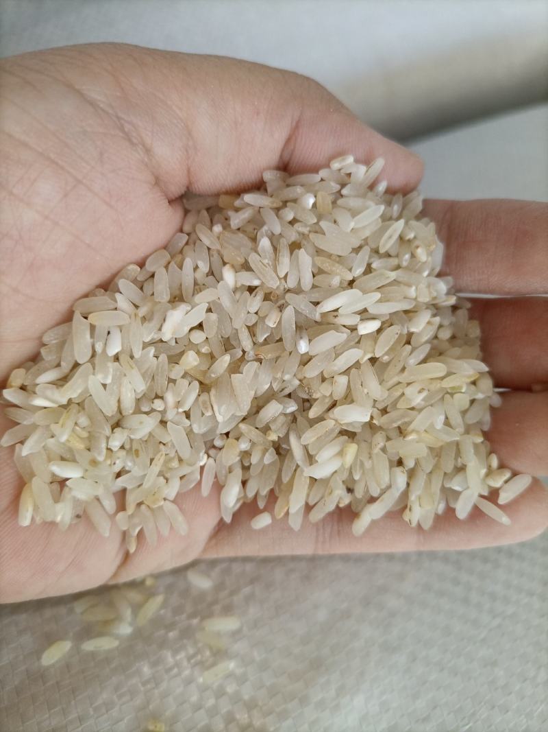 7.11新到碎米纯粹碎米鸡食米养殖场专用饲料米色选米批发