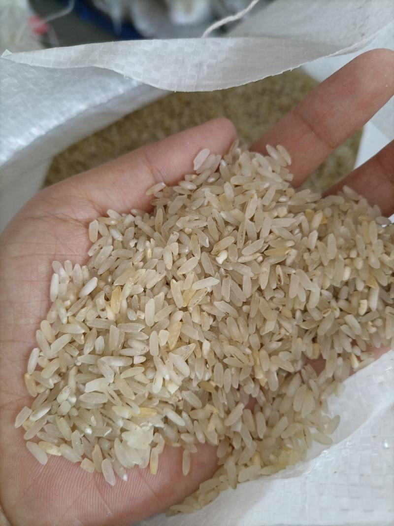 7.11新到碎米纯粹碎米鸡食米养殖场专用饲料米色选米批发