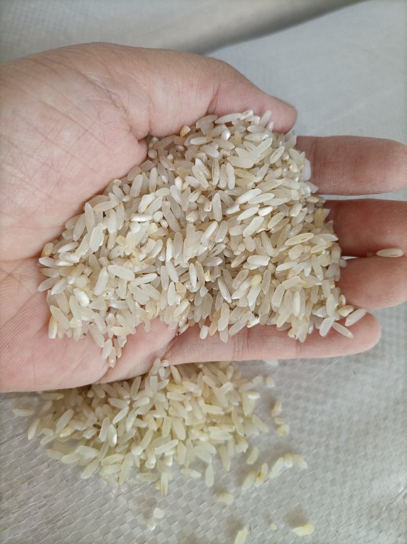 7.11新到碎米纯粹碎米鸡食米养殖场专用饲料米色选米批发