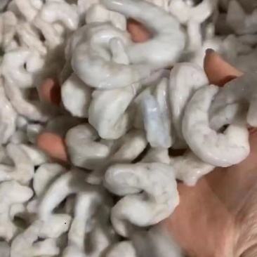 东方对虾虾仁