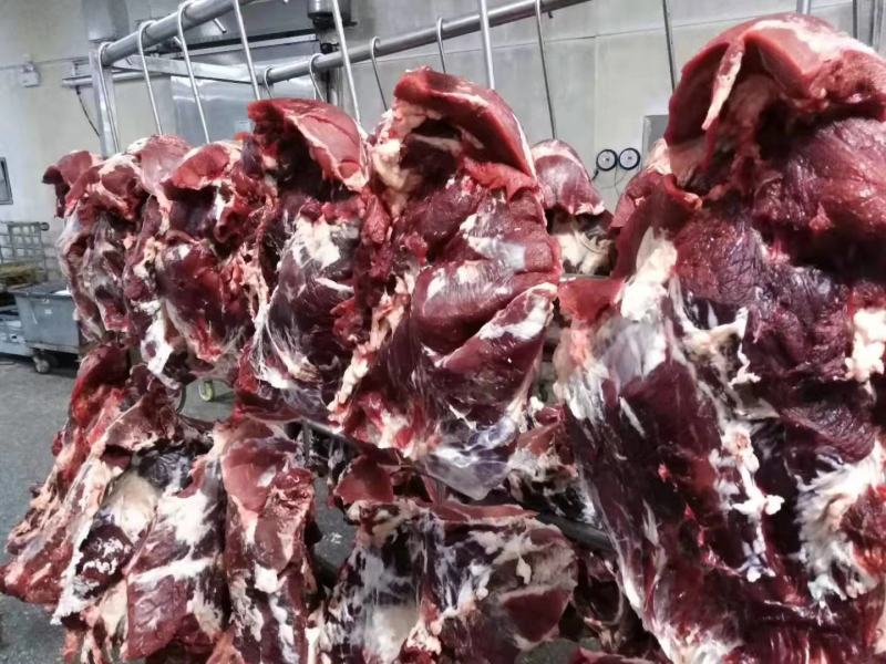 牛腿肉