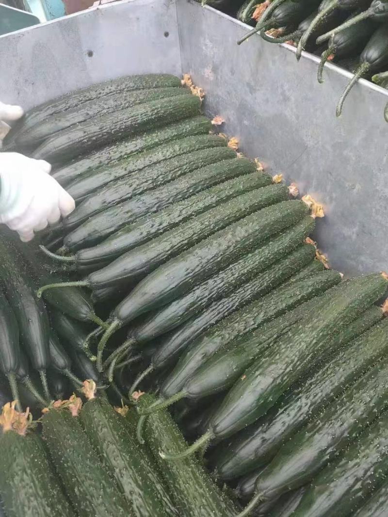 一手货源