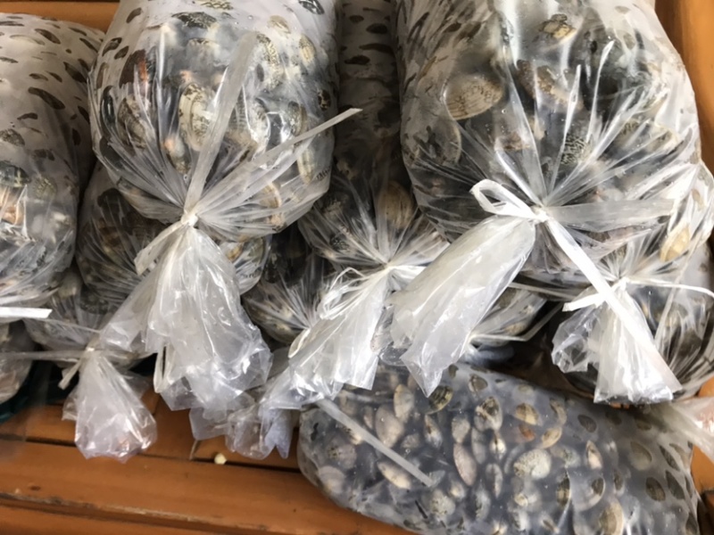 鲜活大花甲无沙花甲鲜活发货吐沙花甲